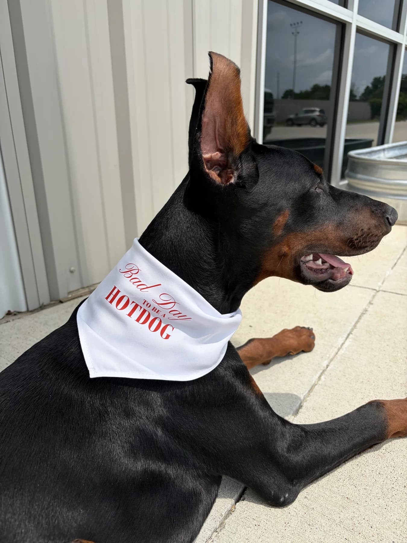 Black and rust-colored dog wearing a custom white bandana outdoors